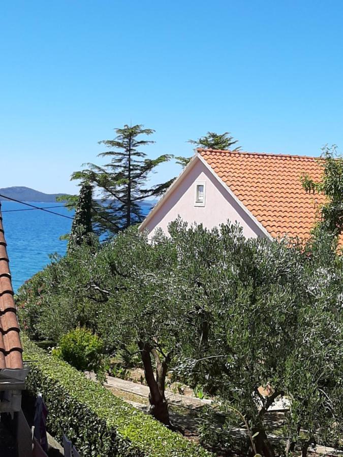 Apartments Basioli ザダル エクステリア 写真